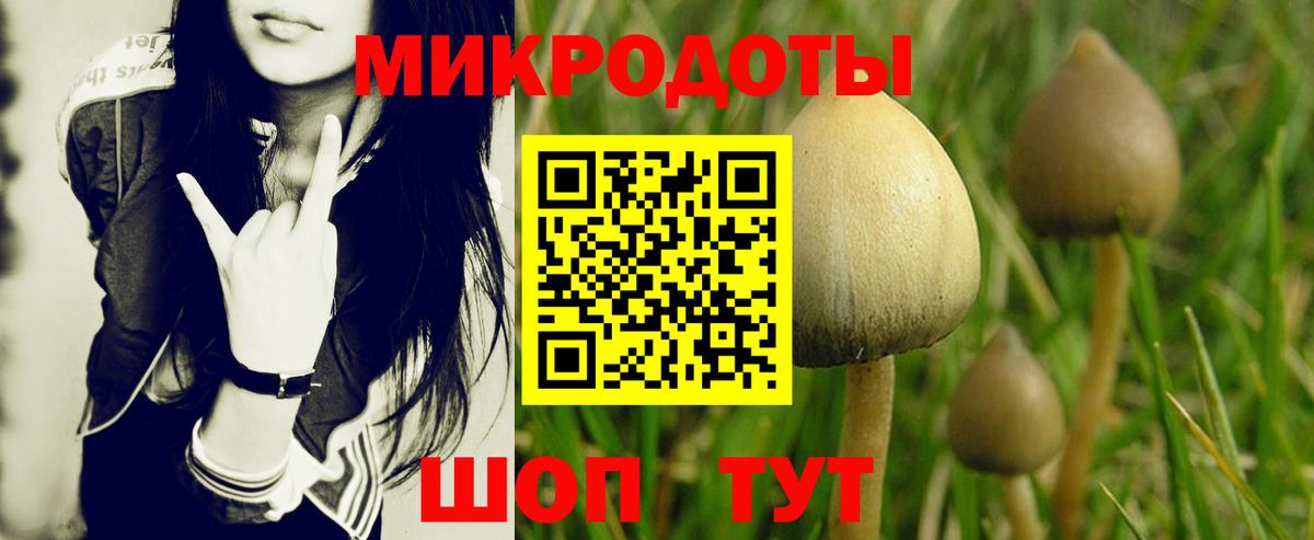 Тольятти  где продают наркотики  Вход с VPN  Галлюциногенные грибы GOLDEN TEACHER 